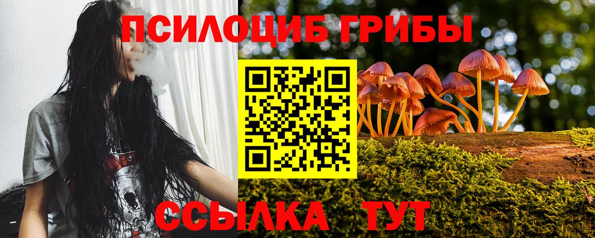 Галлюциногенные грибы Psilocybe Вятские Поляны